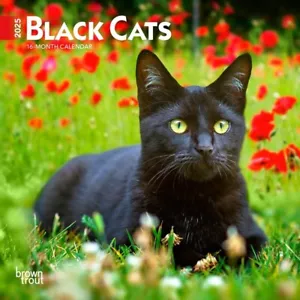 Black Cats | Mini calendario de pared mensual 2025 7 x 14 pulgadas - Imagen 1 de 2