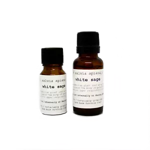 White Sage Essential Oil || Salvia apiana || Sacred Sage - Picture 1 of 3