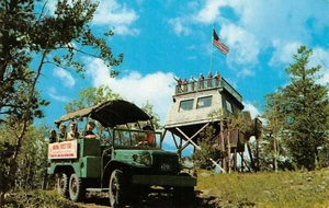Mountain Climbing Bus Tour's Observation Tower Scene Estes Park,CO Vtg Postcard  - Picture 1 of 2