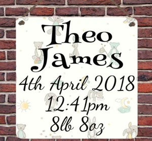 Personalised Birth Detail Keepsake Metal Hanging Plaque Wall Sign New Baby Gift - Picture 1 of 1