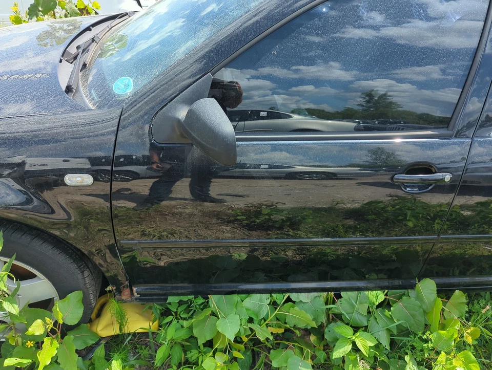 1999-2003 Volkswagen Jetta Driver Front Door Oem C2SRW - Image 1 of 1