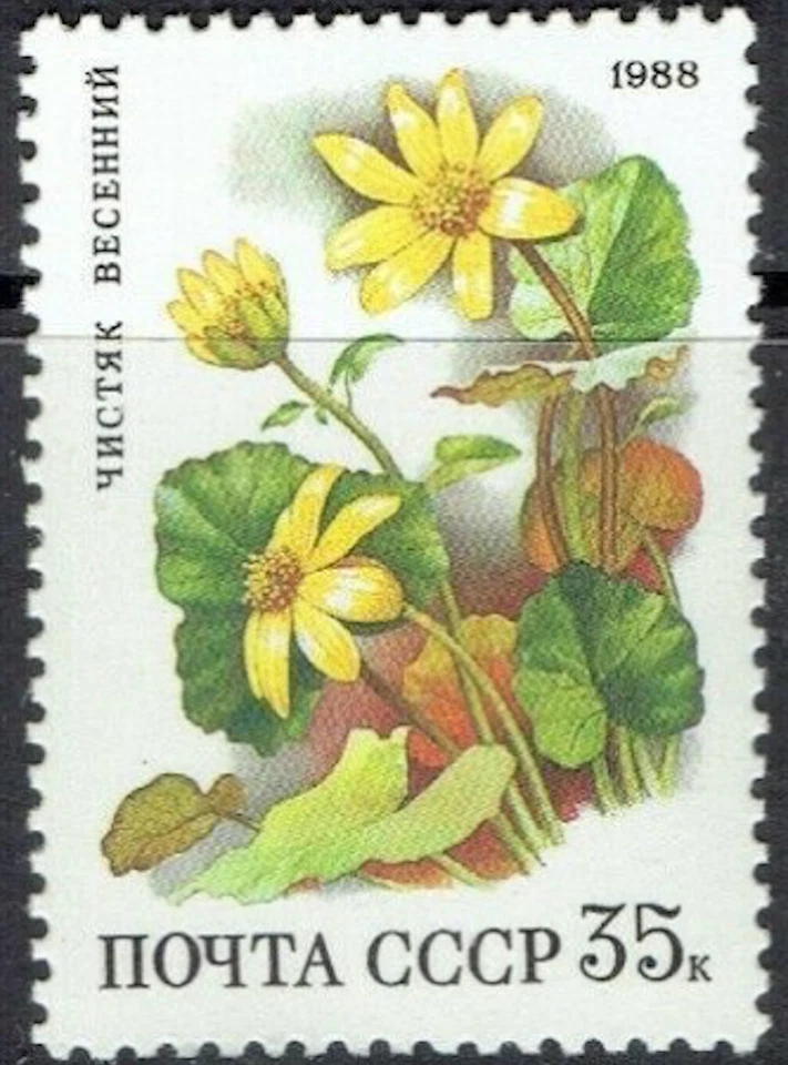 Russia #Mi5851 MNH 1988 Flower Forest Ficaria Verna [5691] - Image 1 of 1