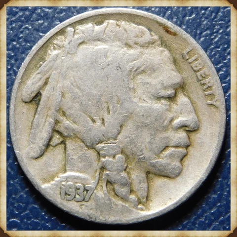 1937 D Buffalo Nickel  "Raw & Original, Not Chemically Treated or Cleaned" Cover