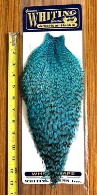 Capa Whiting American Rooster, teñida de grizzly plateada Dr Blue, atar moscas Foto 1 de 2