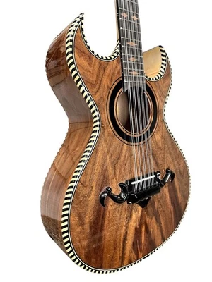 Bajo Quinto Pasaye “RECOGIDA Y ESTUCHE EMG GRATIS” Foto 1 de 4