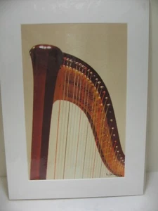 ART PHOTOGRAPHY Harp 11x14 Color Photo by Larry Santucci COA - Picture 1 of 3