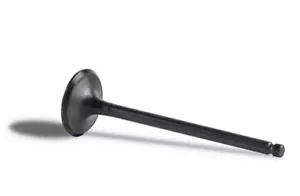 Polaris (2009-2021) Sportsman Scrambler 850 Engine INTAKE Valve 3022099 - Foto 1 di 6
