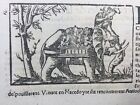 Éléphant de Combat 1575 Amazones Gaulois Darius Rhodes Gravure sur Bois Münster