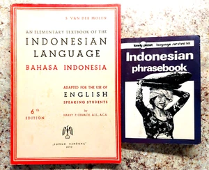 2 books on Indonesian language for English speakers - Picture 1 of 1