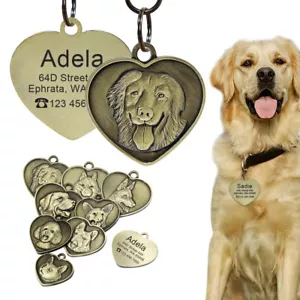 Personalised 3D Stainless Steel Dog Tags Free Engraved Pet Puppy Name 7 Breeds - Picture 1 of 33