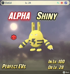 ELEKID ALPHA SHINY STARTER 🌟 Pokemon Legenden: Arceus | EV Trainiert - Bild 1 von 5