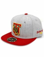 Tuskegee University Snapback Hat- Gray-New!