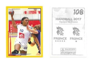 Vignette Panini N°108 - Handball 2017 - Lidl - Picture 1 of 1