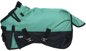 Miniature Horse Heavyweight Winter Turnout Blanket - 1200D - 36"-50" - Turquoise - Picture 1 of 2