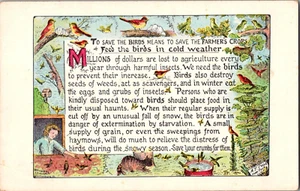 Postal Feed The Birds In Cold Weather A. T. Cook Hyde Park Nueva York - Imagen 1 de 2