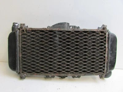 Radiador Yamaha FZR400 FZR 400 1WG Genesis 1986 - 1989 J13 D Foto 1 de 4