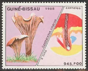 Guinea-Bissau 1988 Mushroom set Sc# 765-71 NH - Picture 1 of 2