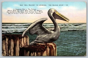 Vintage Louisiana Pelican Postcard by New Orleans News Co. - Picture 1 of 2