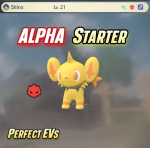 SHINX ALPHA SHINY STARTER 🙂 Pokemon Legends: Arceus | Addestrato EV - Foto 1 di 2