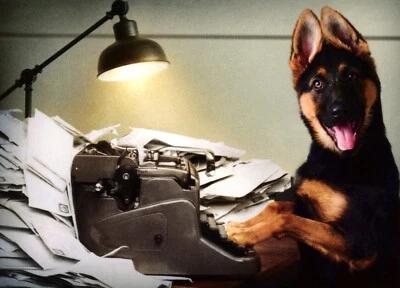 Cartão de OBRIGADO animal engraçado, máquina de escrever para cachorro pastor alemão por Avanti + envelope - Imagem 1 de 4