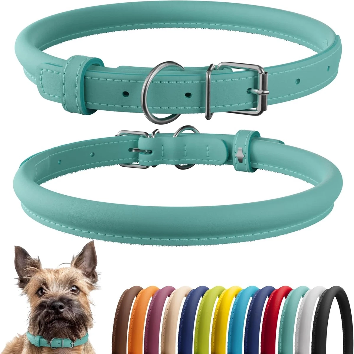 Weatherbeeta Rolled Leather Dog Collar – Lederhalsband Für Hunde, Large, Teal, Mit Messingbeschlägen