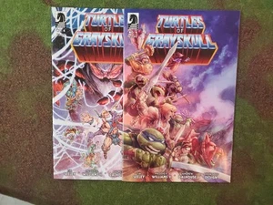 HE-MAN MASTERS OF THE UNIVERSE TURTLES OF GRAYSKULL 4 COVER Set Dark Horse - Bild 1 von 3