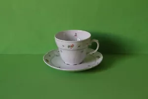 Seltmann Weiden Bayreuth Streublume Kaffeetasse mit Untertasse Tasse Untere - Bild 1 von 2