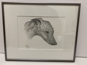 hartz dura play ball review