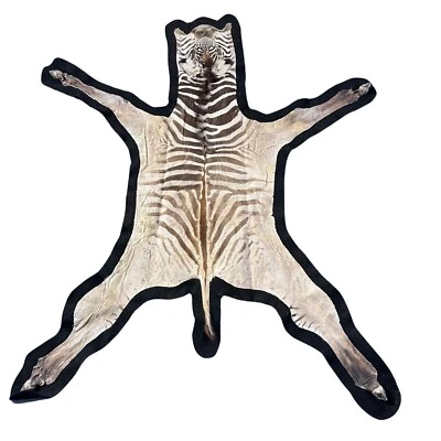 Real Zebra Skin Baby Size Real Zebra Hide # 44 SMALL Size: 40X 43" (tail is 9") - Image 1 of 4