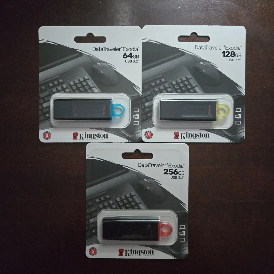 PENDRIVE PENNETTA KINGSTON 32 64 128 256 GB USB 3.0 3.1 3.2 MEMORIA CHIAVETTA - Immagine 1 di 1