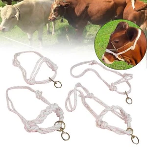 Bull Bridle Outdoor Farms Strong Cow Lead Equipment Tools Supply Cow Halfter - Bild 1 von 29