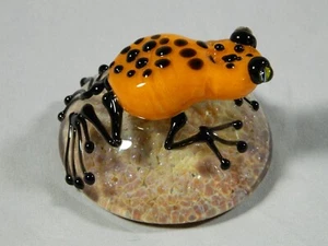 Mazet Studios Art Glass Paperweight With Frog Signed - Picture 1 of 8