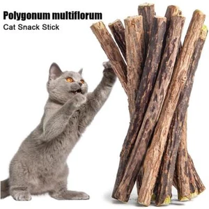 5X Catnip Cat Sticks Dried Natural Matatabi Silvervine Chew Toy Teeth Clean -US - Picture 1 of 18