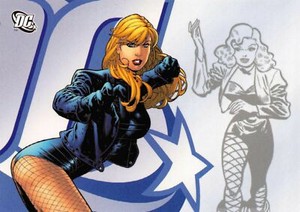 BLACK CANARY / DC Comics Legacy (2007) BASE Trading Card #8