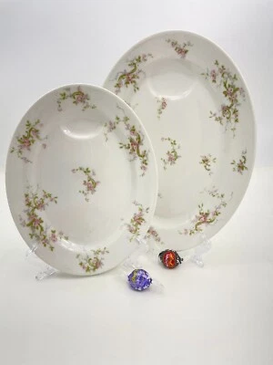 2 platos en aerosol Theodore Haviland Limoges Francia Schleiger 318a rosa 11 y 13 Foto 1 de 4