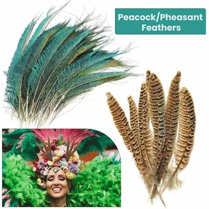 Plumas de cola de faisán 10"" - 12"" color sombrero artesanal decoraciones artesanales boda Reino Unido - Imagen 1 de 15