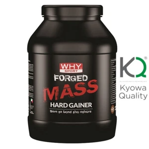WHY SPORT Forged Mass Gainer 1 Kg Con Creatina Hmb e Glutammina Kyowa - Foto 1 di 1