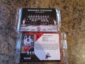 2013-14 NIAGARA ICEDOGS OHL FACTORY SEALED TEAM SET 