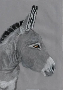 Original Color pencil artwork Art picture lovely stoic grey donkey Animal GIFT - Picture 1 of 3