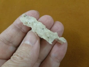 (R365-115) 1-7/8" Fulgurit Blitzschlag Strand Sand Glas Georgia Fulgurite - Bild 1 von 3