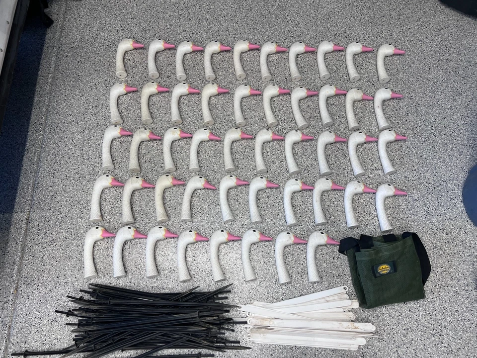 Lote de 48 cabezas señuelo centinela gansos canadienses vintage con filetes y bolsa de almacenamiento Foto 1 de 4