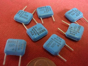 12x CAPACITOR HIGH VOLTAGE 3.9nF = 3900pF 100V = WIMA FKS BLUE 11x9x4mm 25595 - Picture 1 of 1