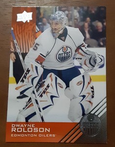 2013-14 Upper Deck Edmonton Oilers Dwayne Roloson #68 NHL Hockey Card