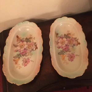Bavaria Schumann Arzberg Germany Wild Rose Oval Relish Dish 9 1/2"  2 - Picture 1 of 17