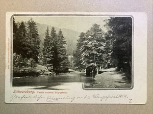 Schwarzburg - Partie unterm Trippstein • Postkarte 1904 Louis Glaser • gelaufen - Bild 1 von 6