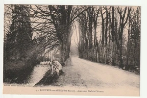 ROUVRES SUR AUBE Haute Marne CPA 52 avenue et bief du chateau - Imagen 1 de 1