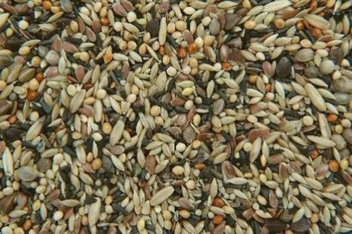 Waldvogelfutter 25 kg Vogelfutter Wildvogel Streufutter Winterfutter ohne Rübsen - Bild 1 von 1