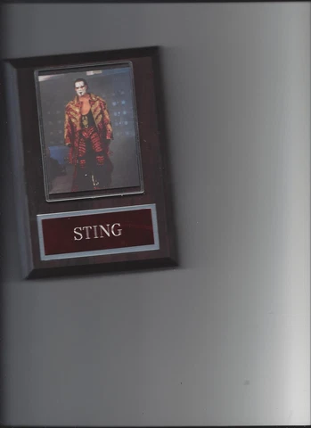 STING PLAQUE WRESTLING WWE WWF NWA Cover