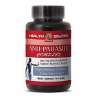 foods and herbs - ANTI PARASITE COMPLEX - Detox Candida Cleanse - 1 Bottle