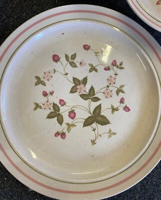 PLATOS: JUEGO COMPLETO ILIMITADO DISEÑO FRAMBUESA VINTAGE POR TABLETOPS PARA UNO NUEVO Foto 1 de 4